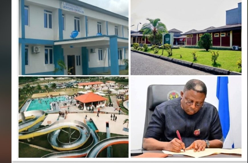 OPINION: Assets Recovery: Flagship of Otu's Restoration Agenda