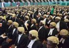 Former Ogoja NBA Chairman, Akomaye,, 67 Others Sworn-In as Senior Advocates...