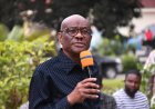Why Borno, Osun Govs Support Rainbow Coalition, Says Wike
