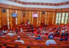 Senate Seeks Emergency Funds to Combat Cross River Erosion