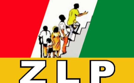 The Latest Supreme Court Decision in INEC v. Zenith Labour Party and It's Broader Implications