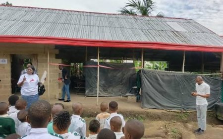 C'River Gov't Shuts Down 10 Illegal Private Schools Over Poor Standard