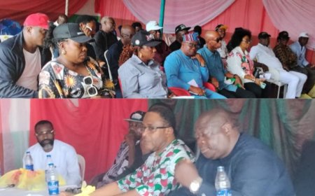 2027: PDP Vows To Reclaim C'River, Inaugurates 35-member Strategy Committeeq