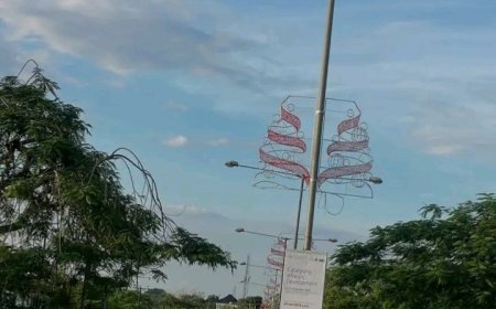 Netizens Slam Gov Otu Over Early Christmas Decoration In Calabar, Say Misplaced Priority
