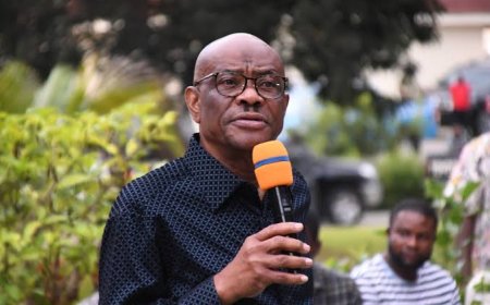 Why Borno, Osun Govs Support Rainbow Coalition, Says Wike