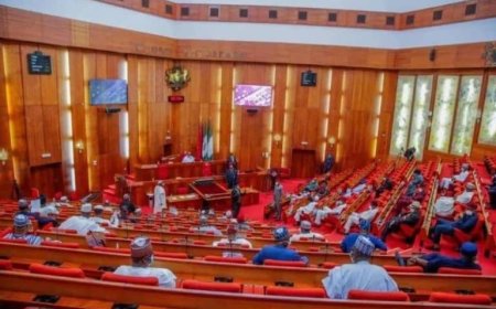 Senate Seeks Emergency Funds to Combat Cross River Erosion