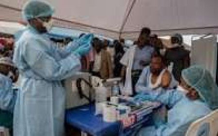 FG Confirms Ebola Disease Case in FCT, Activates Public Health Response