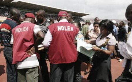 Mob Attacks NDLEA Team During Operation in Calabar, 3 Arrested