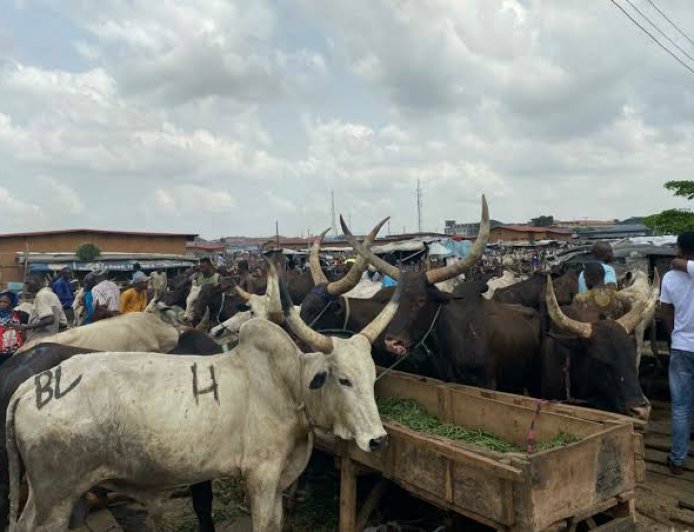 C’River targets higher livestock production, modern abattoirs to improve meat supply