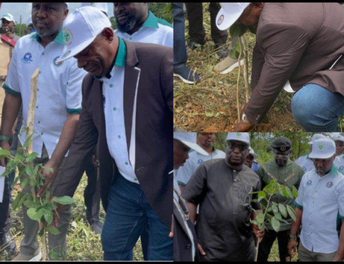 Association Restores 200 Hectares of Forest in C’River, Targets 2m Seedlings