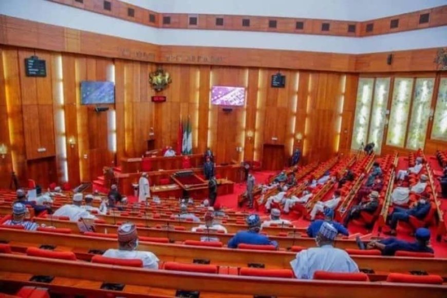 Senate Seeks Emergency Funds to Combat Cross River Erosion
