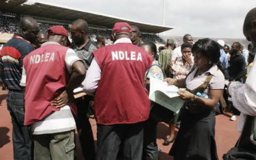 Mob Attacks NDLEA Team During Operation in Calabar, 3 Arrested